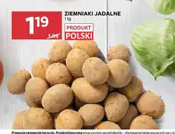 Stokrotka Ziemniaki jadalne oferta
