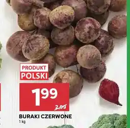 Stokrotka Buraki czerwone oferta