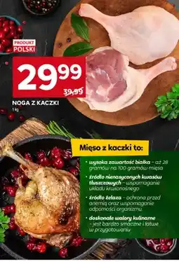 Stokrotka Noga z kaczki oferta