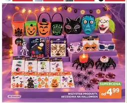 Stokrotka Produkty, akcesoria na Halloween oferta