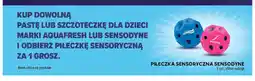 Stokrotka Piłeczka sensoryczna Sensodyne oferta