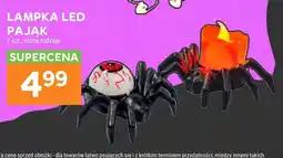 Stokrotka Lampka LED pająk z okiem oferta