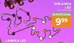 Stokrotka Girlanda LED oferta