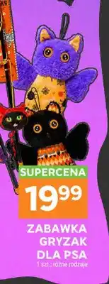 Stokrotka Zabawka gryzak dla psa oferta