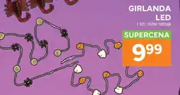 Stokrotka Market GIRLANDA LED oferta