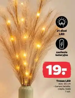 Netto Trawa LED oferta