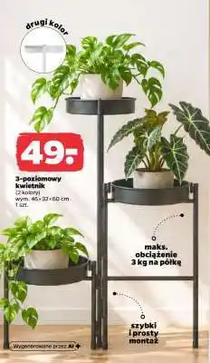 Netto 3-poziomowy kwietnik oferta