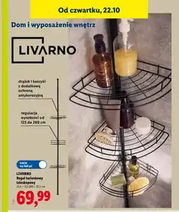 Lidl Regał łazienkowy teleskopowy Livarno 25,5x123-260x25,5 cm oferta