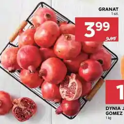 Stokrotka Market Granat oferta
