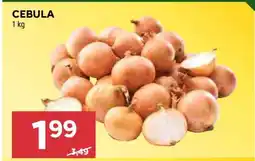 Stokrotka Market Cebula oferta