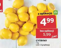 Stokrotka Market Cytryny oferta