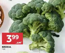 Stokrotka Market Brokuł oferta