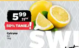 Netto Cytryna oferta