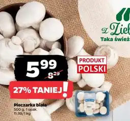 Netto Pieczarka biała oferta