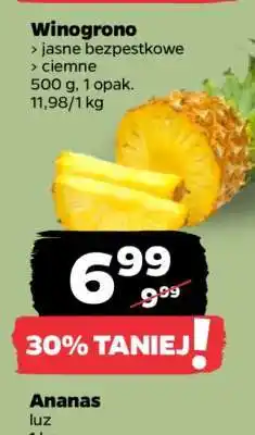Netto Winogrono oferta