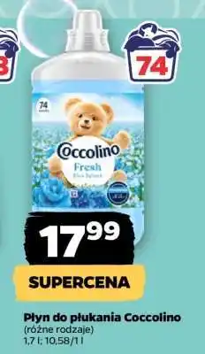 Netto Płyn do płukania Coccolino oferta