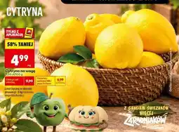 Biedronka Cytryna na wage oferta