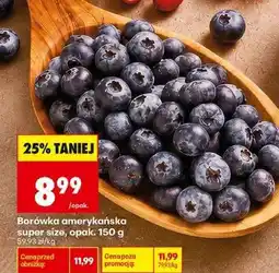 Biedronka Borówka amerykańska super size, opak. 150 g oferta