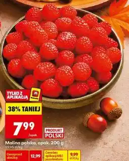 Biedronka Malina polska, opak. 200 g oferta