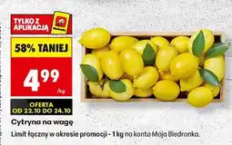 Biedronka Cytryna na wage oferta