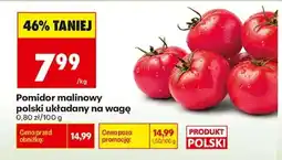 Biedronka Pomidor malinowy polski układany na wagę oferta