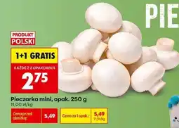 Biedronka Pieczarka mini opak . 250 g oferta