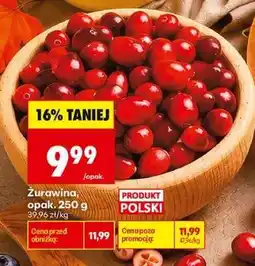 Biedronka Żurawina opak 250 g oferta
