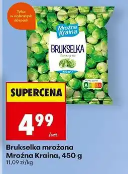 Biedronka Brukselka mrożona Mroźna Kraina, 450 g oferta