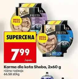 Biedronka Karma dla kota Sheba, 2x60 g oferta