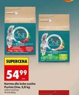 Biedronka PURINA ONE oferta