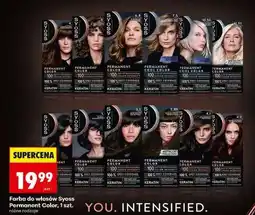 Biedronka Farba do włosów Syoss Permanent Color, 1 szt oferta
