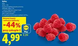 Lidl Maliny oferta