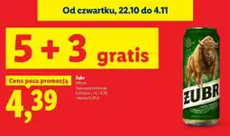 Lidl Żubr oferta
