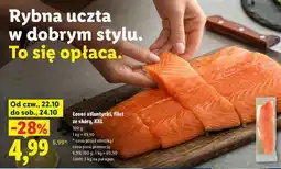 Lidl Łosoś atlantycki, filet ze skórą, XXL oferta