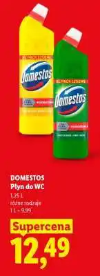 Lidl DOMESTOS Płyn do WC oferta