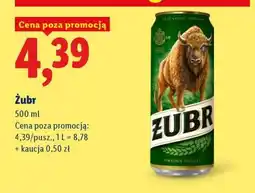 Lidl Żubr oferta