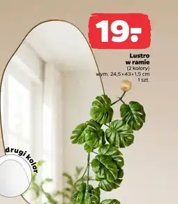 Netto Lustro oferta