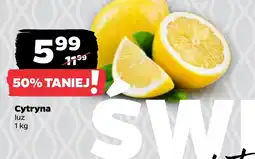 Netto Cytryna oferta