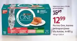 Rossmann Purina One, karma pełnoporcjowa dla kotów oferta