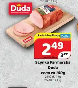 Delfin Szyinka Farmerska Duda oferta