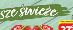 Delfin Papryka czerwona oferta