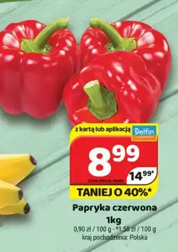 Delfin Papryka czerwona oferta