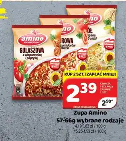 Delfin Zupa Amino oferta