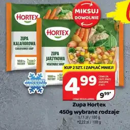 Delfin Zupa Hortex oferta