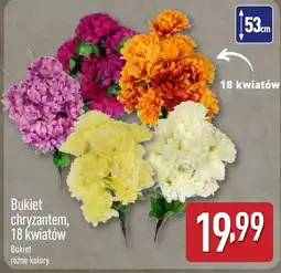ALDI Bukiet chryzantem oferta