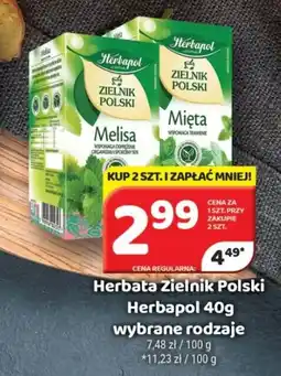 Delfin Herbata Zielnik Polski Herbapol oferta
