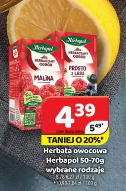 Delfin Herbata owocowa Herbapol oferta