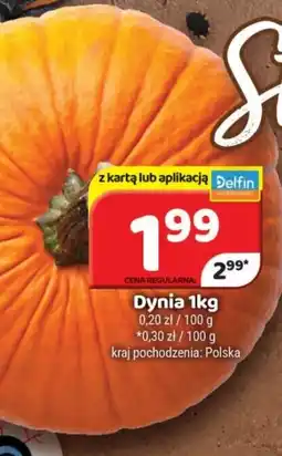 Delfin Dynia oferta