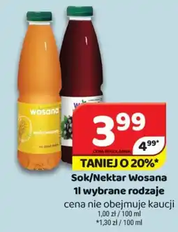 Delfin Sok/Nektar Wosana oferta