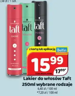 Delfin Lakier do włosów Taft oferta